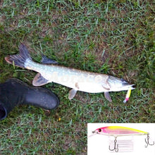 Load image into Gallery viewer, Laser Minnow Fishing Lure