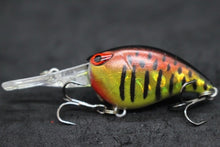 Load image into Gallery viewer, wLure 6cm 5g Deep Diving Tight Wobble Fishing Lure Fresh Water Hard Bait Flaoting Jerkbait 8# Hooks Insect Bait Crankbait C770

